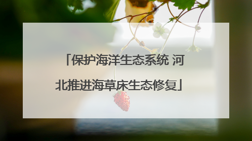 保护海洋生态系统 河北推进海草床生态修复