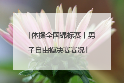 体操全国锦标赛丨男子自由操决赛赛况