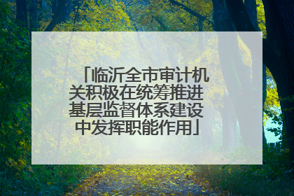 临沂全市审计机关积极在统筹推进基层监督体系建设中发挥职能作用