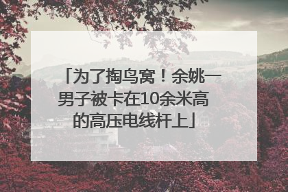 为了掏鸟窝！余姚一男子被卡在10余米高的高压电线杆上
