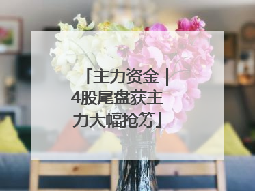 主力资金｜4股尾盘获主力大幅抢筹
