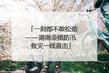 一刻都不敢松劲——湖南桑植防汛救灾一线直击