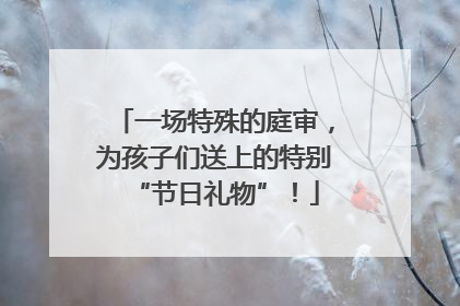 一场特殊的庭审，为孩子们送上的特别“节日礼物”！