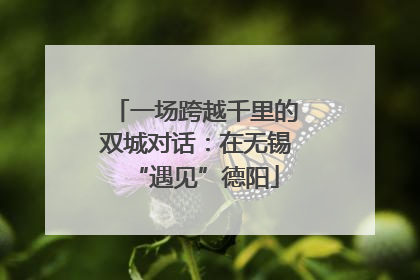 一场跨越千里的双城对话：在无锡“遇见”德阳