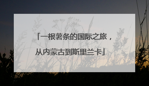 一根薯条的国际之旅，从内蒙古到斯里兰卡