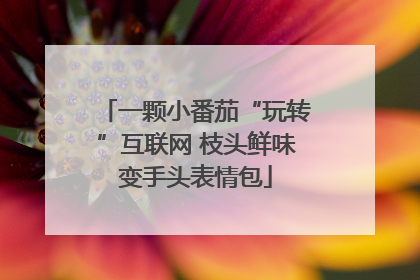 一颗小番茄“玩转”互联网 枝头鲜味变手头表情包