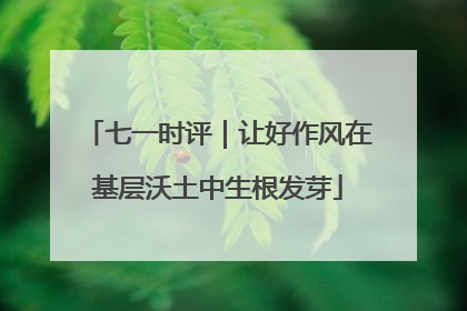七一时评｜让好作风在基层沃土中生根发芽