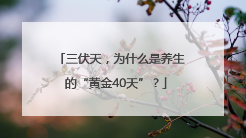 三伏天，为什么是养生的“黄金40天”？