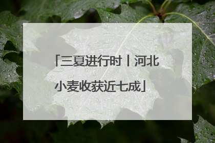 三夏进行时丨河北小麦收获近七成