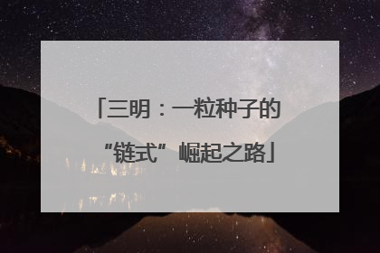 三明：一粒种子的“链式”崛起之路