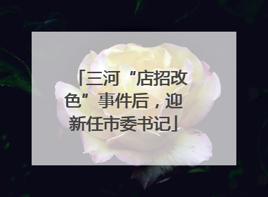 三河“店招改色”事件后，迎新任市委书记