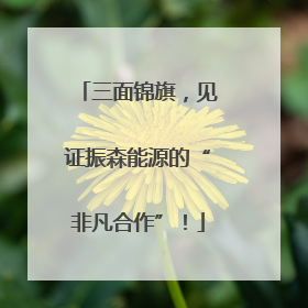 三面锦旗，见证振森能源的“非凡合作”！