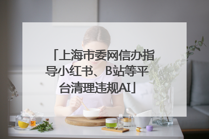 上海市委网信办指导小红书、B站等平台清理违规AI