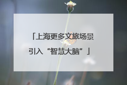 上海更多文旅场景引入“智慧大脑”