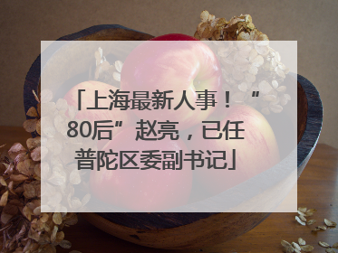 上海最新人事！“80后”赵亮，已任普陀区委副书记