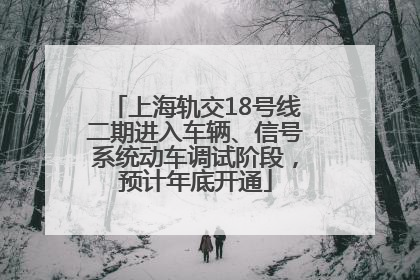 上海轨交18号线二期进入车辆、信号系统动车调试阶段，预计年底开通