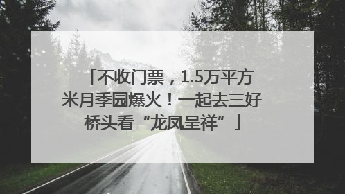 不收门票，1.5万平方米月季园爆火！一起去三好桥头看“龙凤呈祥”