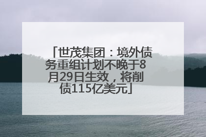 世茂集团：境外债务重组计划不晚于8月29日生效，将削债115亿美元