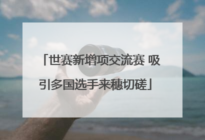 世赛新增项交流赛 吸引多国选手来穗切磋