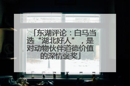 东湖评论：白马当选“湖北好人”，是对动物伙伴道德价值的深情褒奖