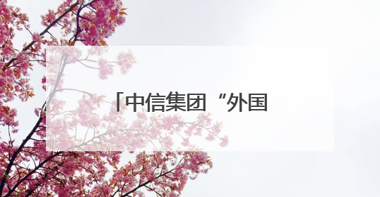 中信集团“外国企业中国行”再出发，超200家日资企业走进广东