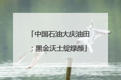中国石油大庆油田：黑金沃土绽绿颜