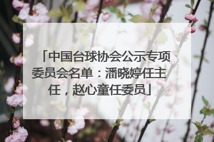 中国台球协会公示专项委员会名单：潘晓婷任主任，赵心童任委员