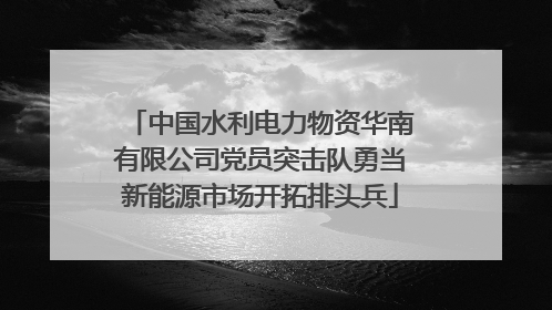 中国水利电力物资华南有限公司党员突击队勇当新能源市场开拓排头兵