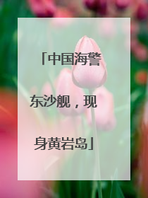 中国海警东沙舰，现身黄岩岛