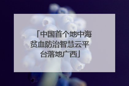 中国首个地中海贫血防治智慧云平台落地广西