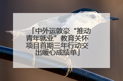 中外运敦豪“推动青年就业”教育关怀项目首期三年行动交出暖心成绩单