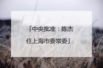中央批准：陈杰任上海市委常委