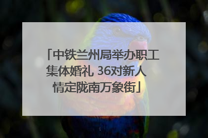 中铁兰州局举办职工集体婚礼 36对新人情定陇南万象街