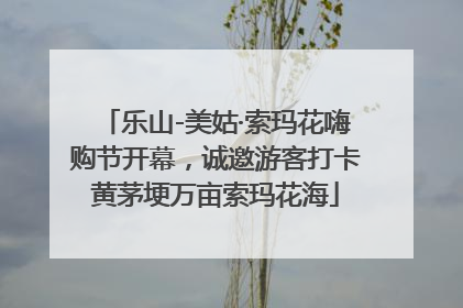 乐山-美姑·索玛花嗨购节开幕，诚邀游客打卡黄茅埂万亩索玛花海