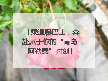 乘温馨巴士，奔赴属于你的“青岛阿勒泰”时刻