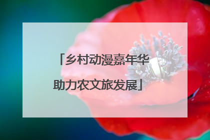 乡村动漫嘉年华助力农文旅发展