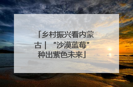 乡村振兴看内蒙古｜“沙漠蓝莓”种出紫色未来