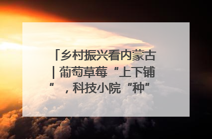乡村振兴看内蒙古｜葡萄草莓“上下铺”，科技小院“种”出三倍效益