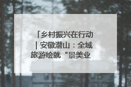 乡村振兴在行动｜安徽潜山：全域旅游绘就“景美业兴民富”新画卷