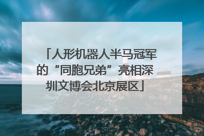 人形机器人半马冠军的“同胞兄弟”亮相深圳文博会北京展区