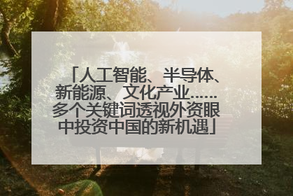 人工智能、半导体、新能源、文化产业……多个关键词透视外资眼中投资中国的新机遇