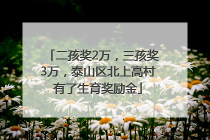 二孩奖2万，三孩奖3万，泰山区北上高村有了生育奖励金