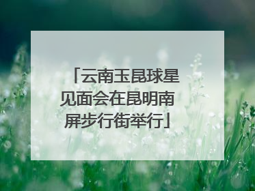 云南玉昆球星见面会在昆明南屏步行街举行