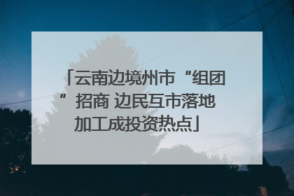 云南边境州市“组团”招商 边民互市落地加工成投资热点