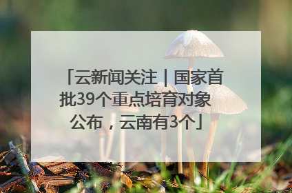 云新闻关注｜国家首批39个重点培育对象公布，云南有3个