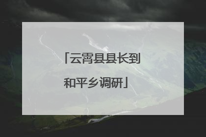云霄县县长到和平乡调研