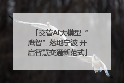 交管AI大模型“鹰智”落地宁波 开启智慧交通新范式