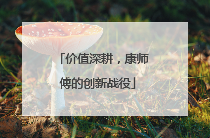 价值深耕，康师傅的创新战役