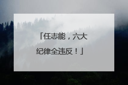 任志能，六大纪律全违反！