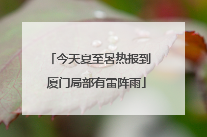 今天夏至暑热报到 厦门局部有雷阵雨
